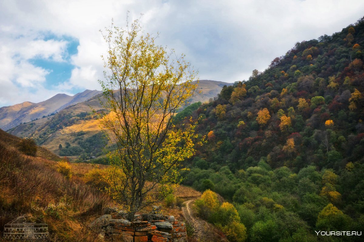 Осень в горах Чечни