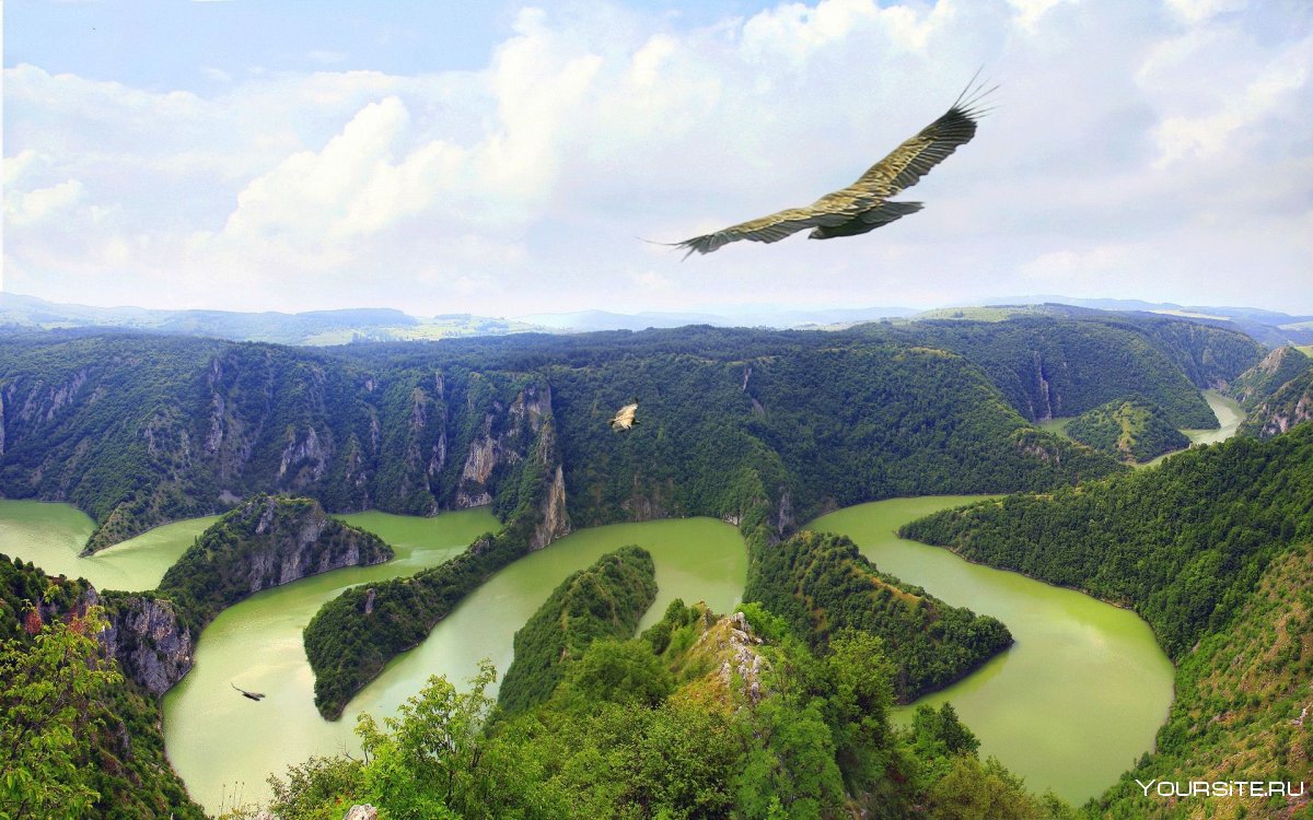 Природа с высоты птичьего полета