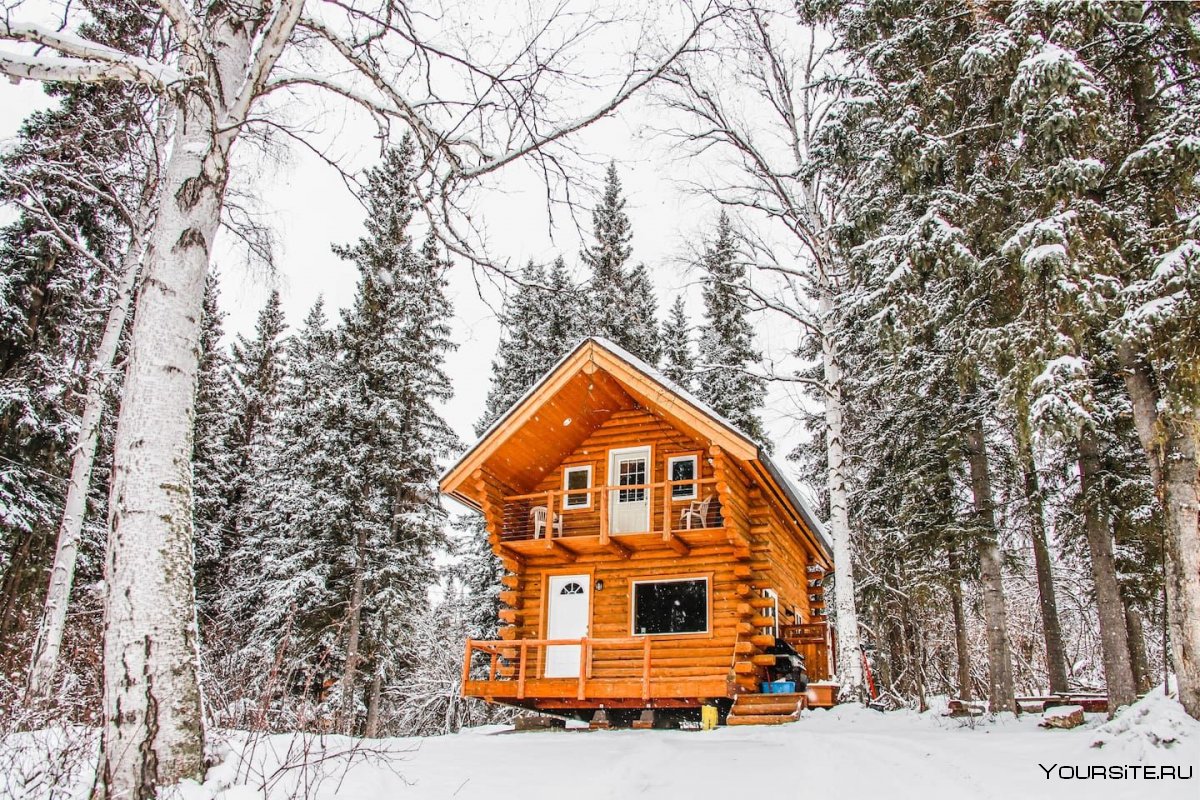 Фэрбенкс Аляска дом в лесу