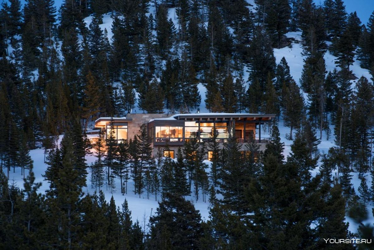 Современный дом на Аляске в лесу