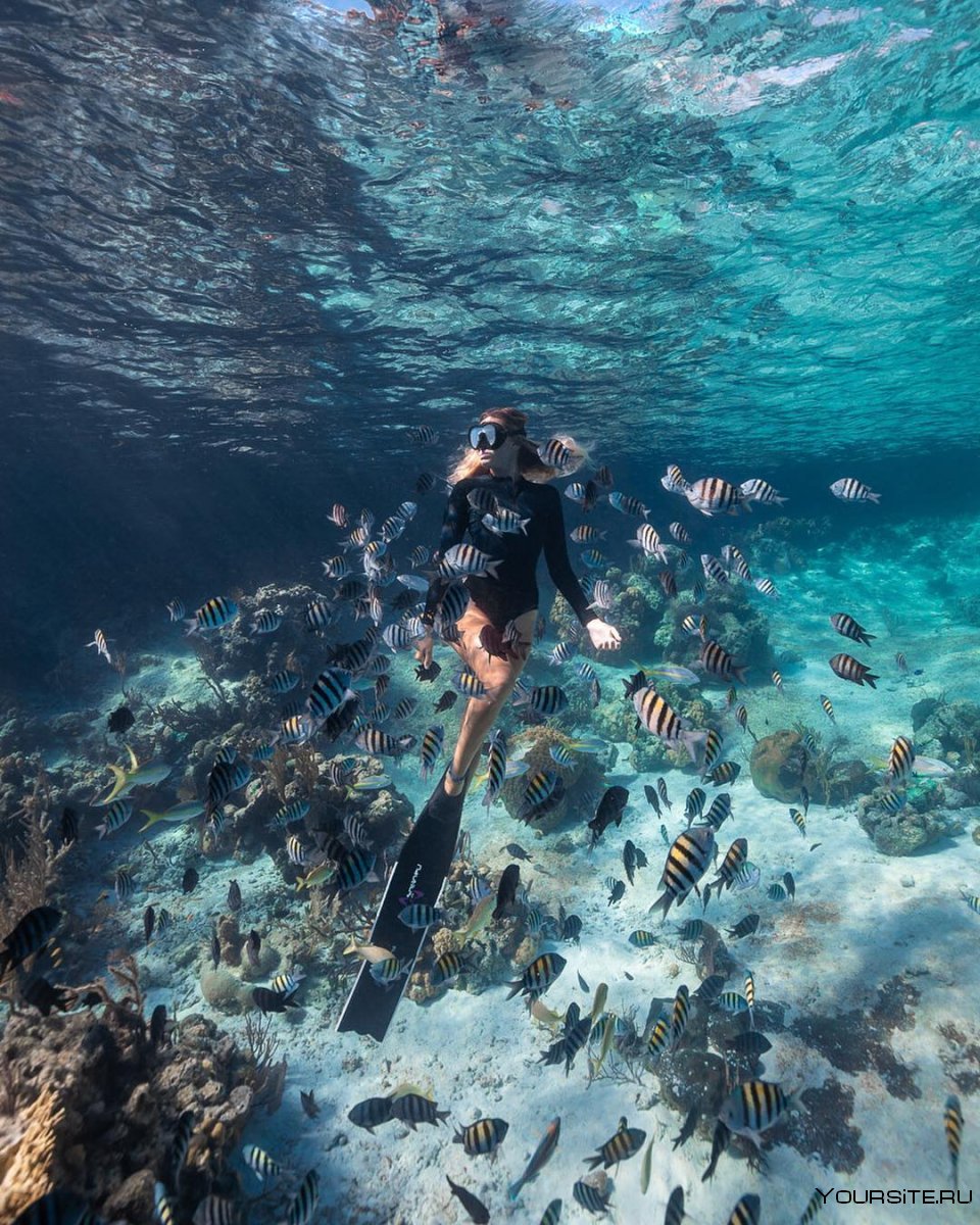 Мальдивы под водой