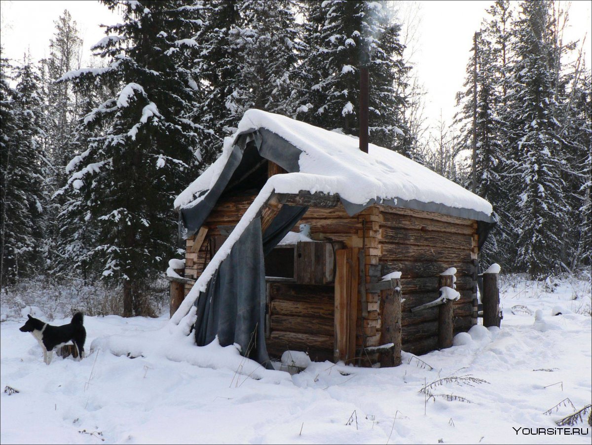 Зимний охотничий домик на полозьях
