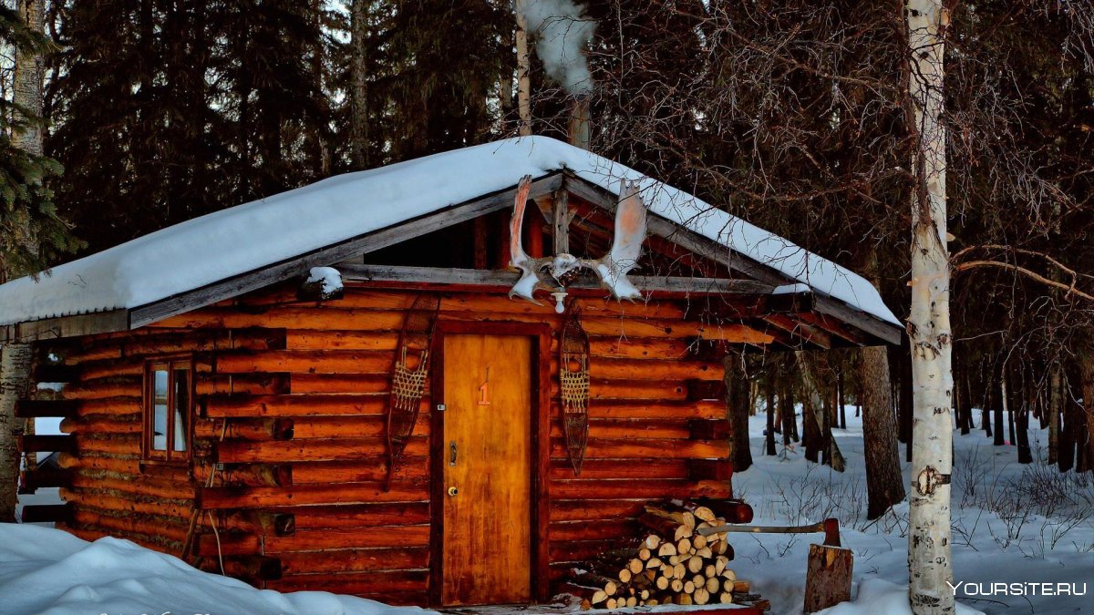Охотничий дом в лесу Аляска