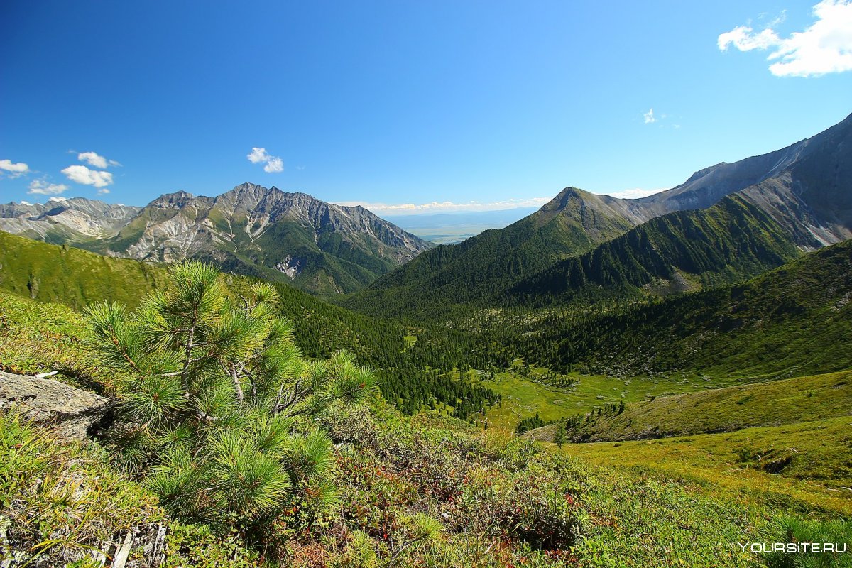 Долина великанов Камчатка