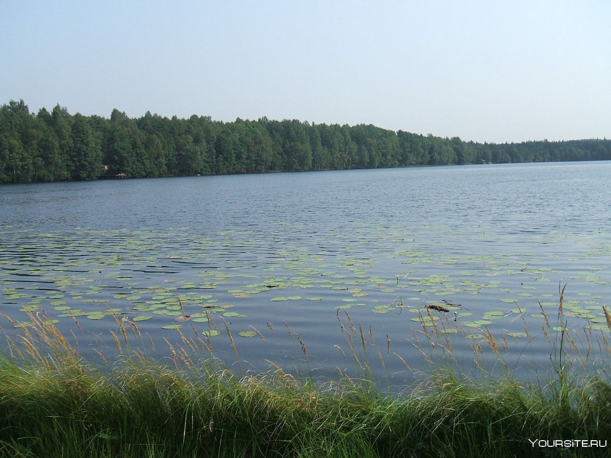Глухое озеро Сестрорецк