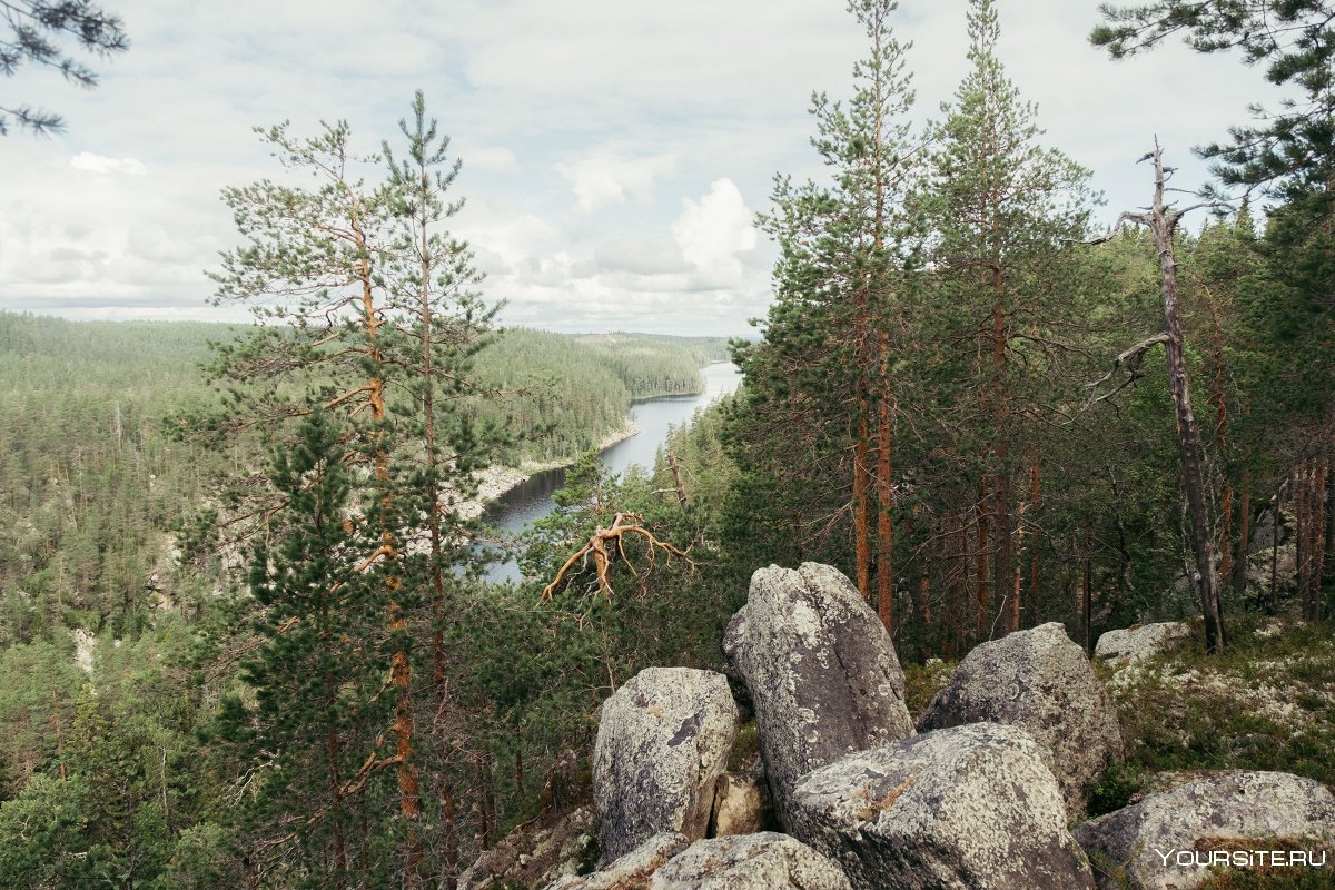 Пизанец Карелия