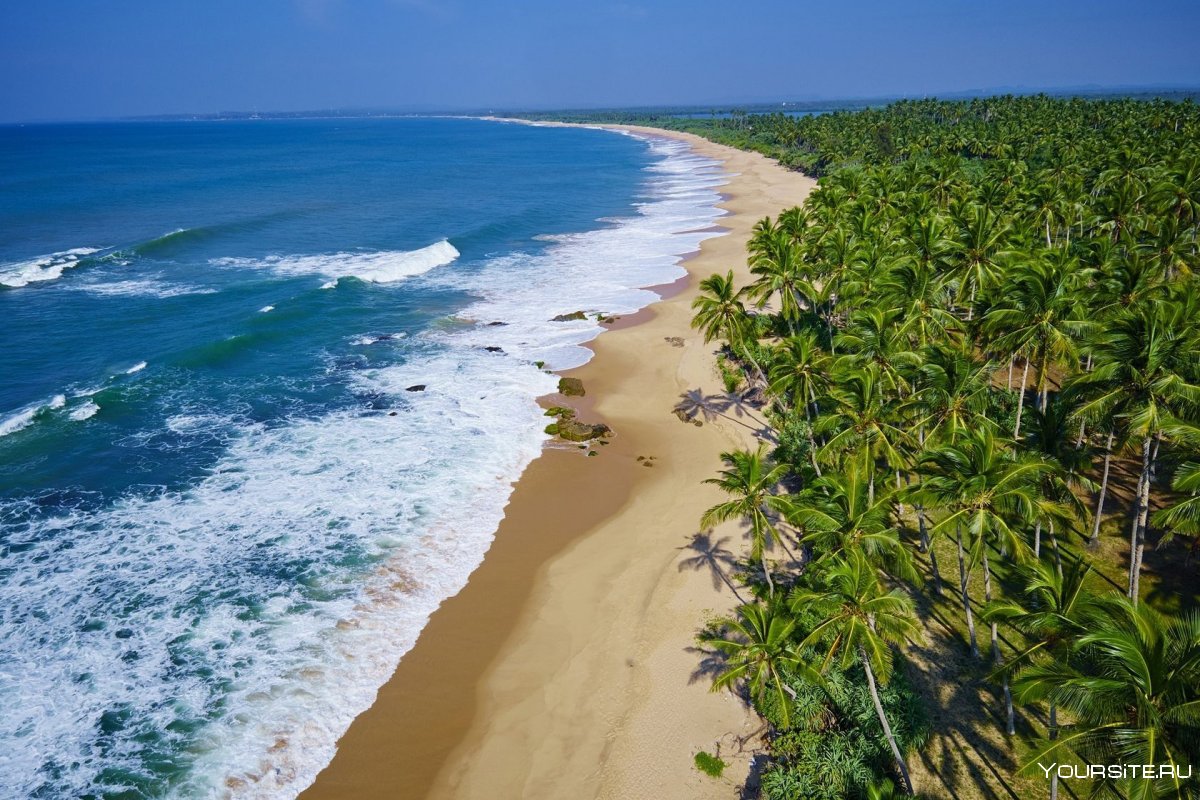 Пляж лежаки Шри Ланка
