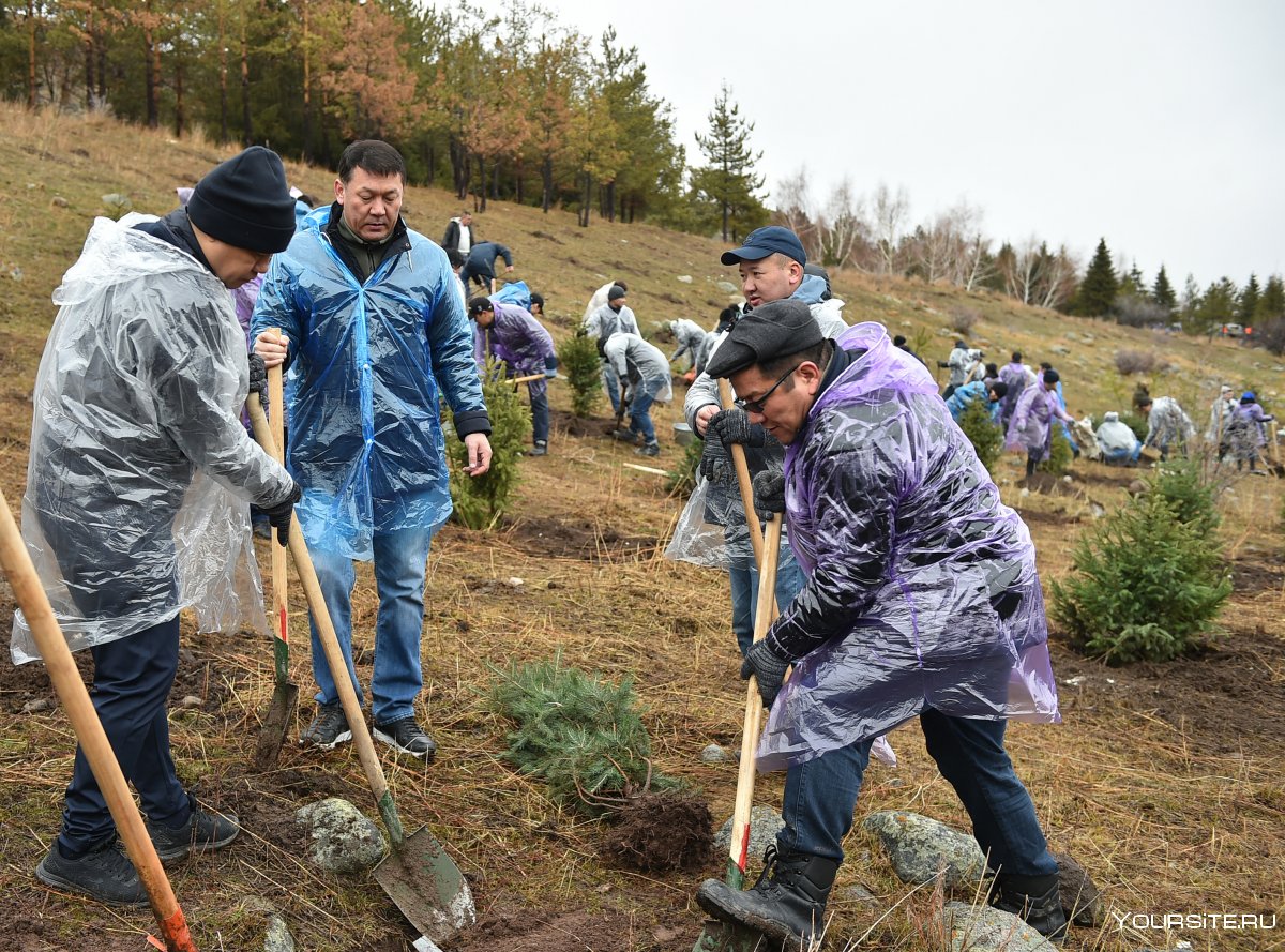 Национальный парк ала Арча зима