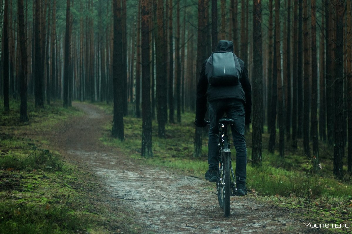 Велосипедист в лесу