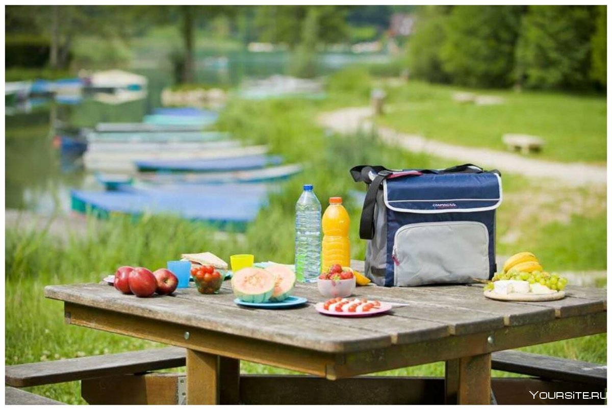 Campingaz сумка изотермическая Fold'n cool