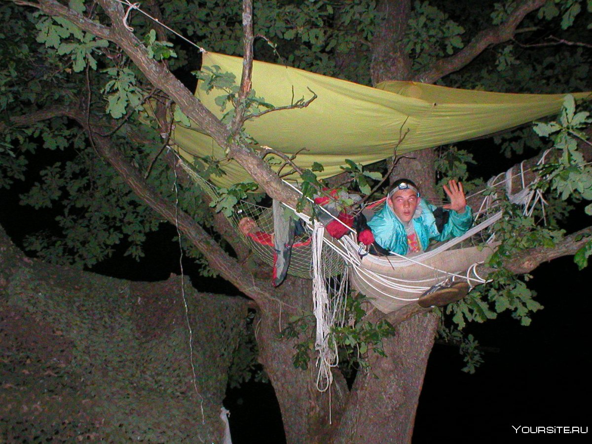 Ночевка на дереве