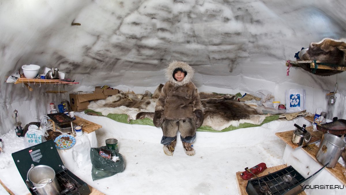 Иглу жилище эскимосов внутри