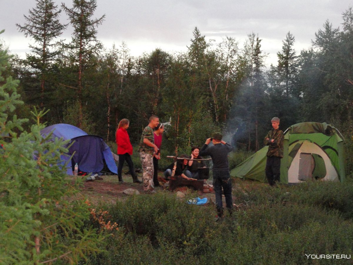 Туристический лагерь в лесу