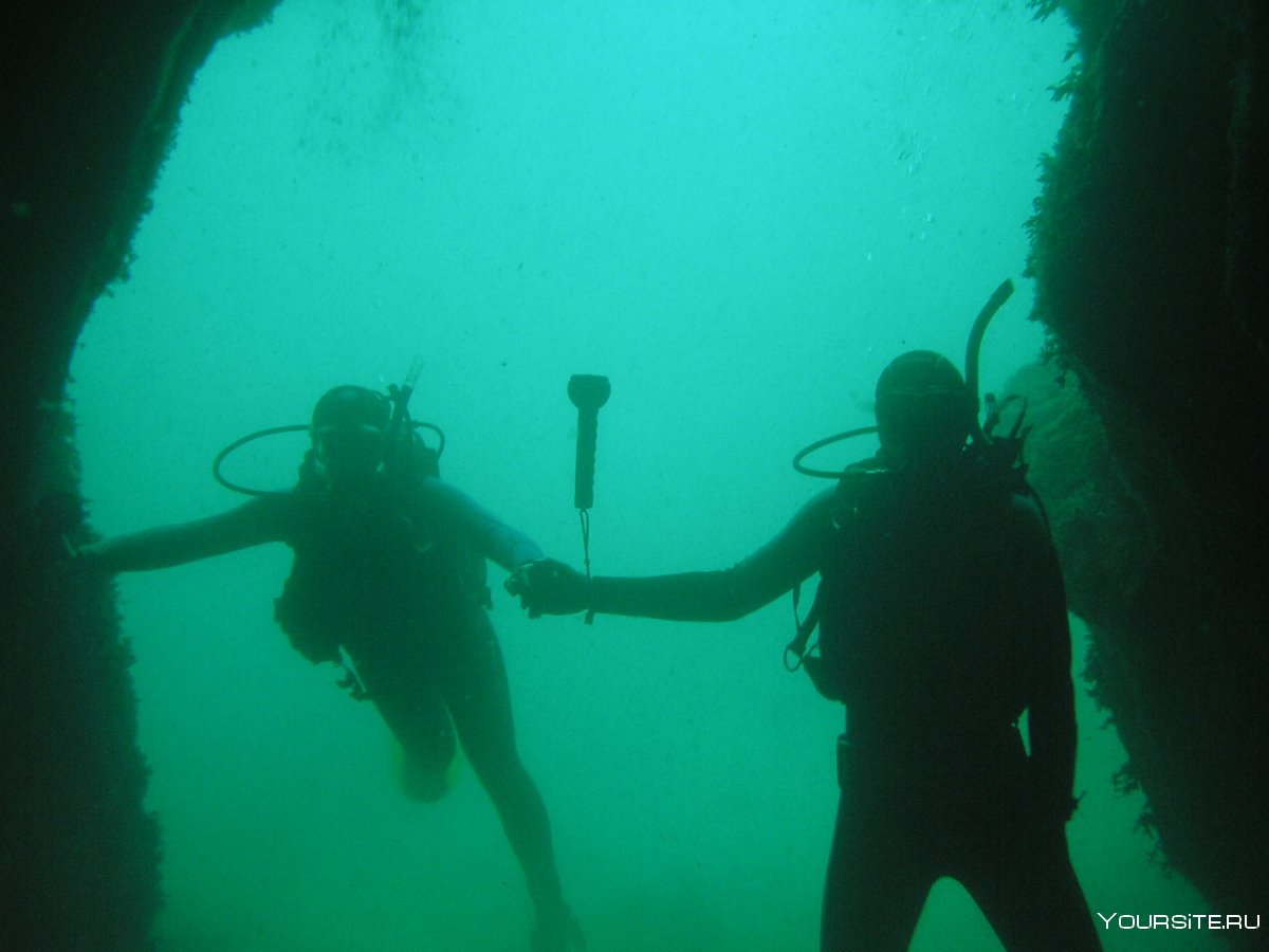 Подводная экскурсия в Оленевке