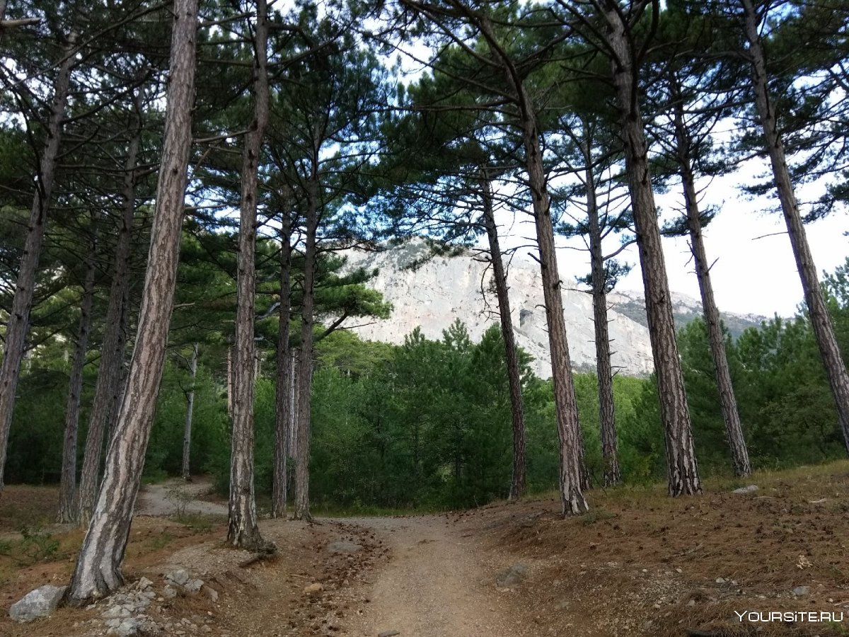 Ай Петри Боткинская тропа