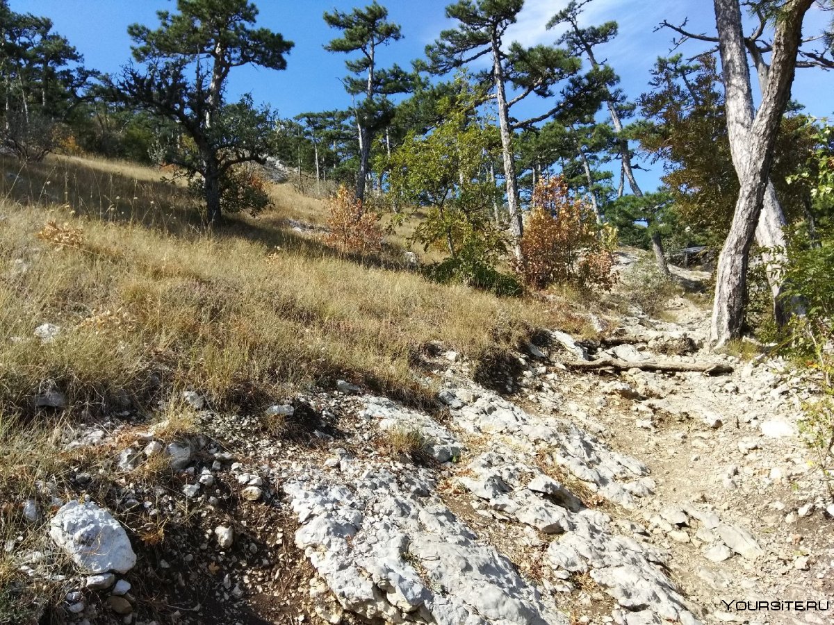 Большой каньон Крыма туристы