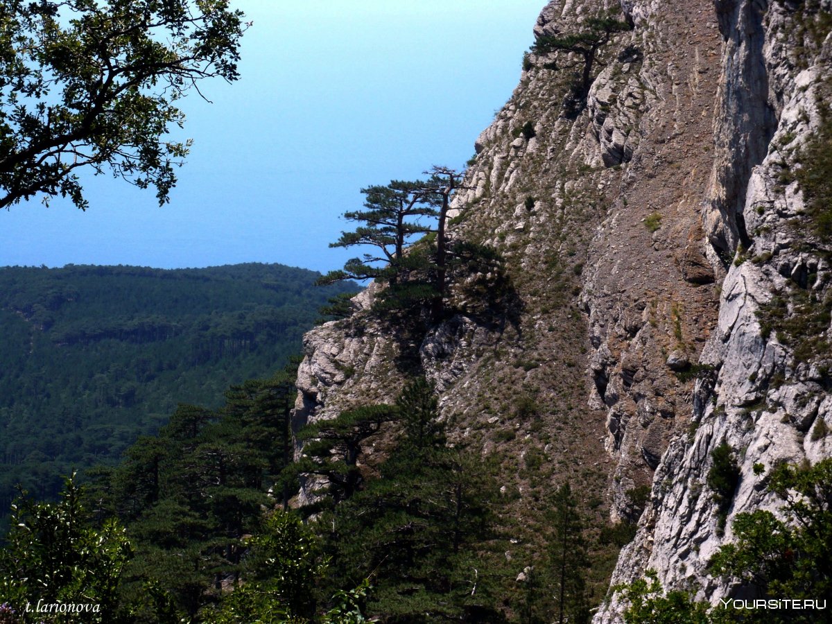 Тропы ай Петри Кореизская тропа