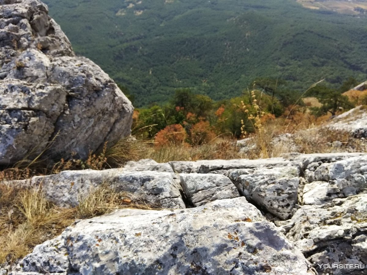 Трейлы Крыма