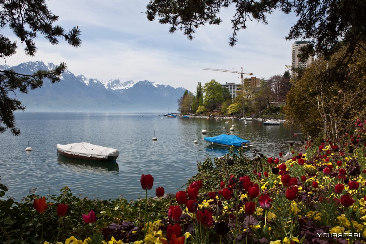 Швейцария Женевское озеро осень HD горы
