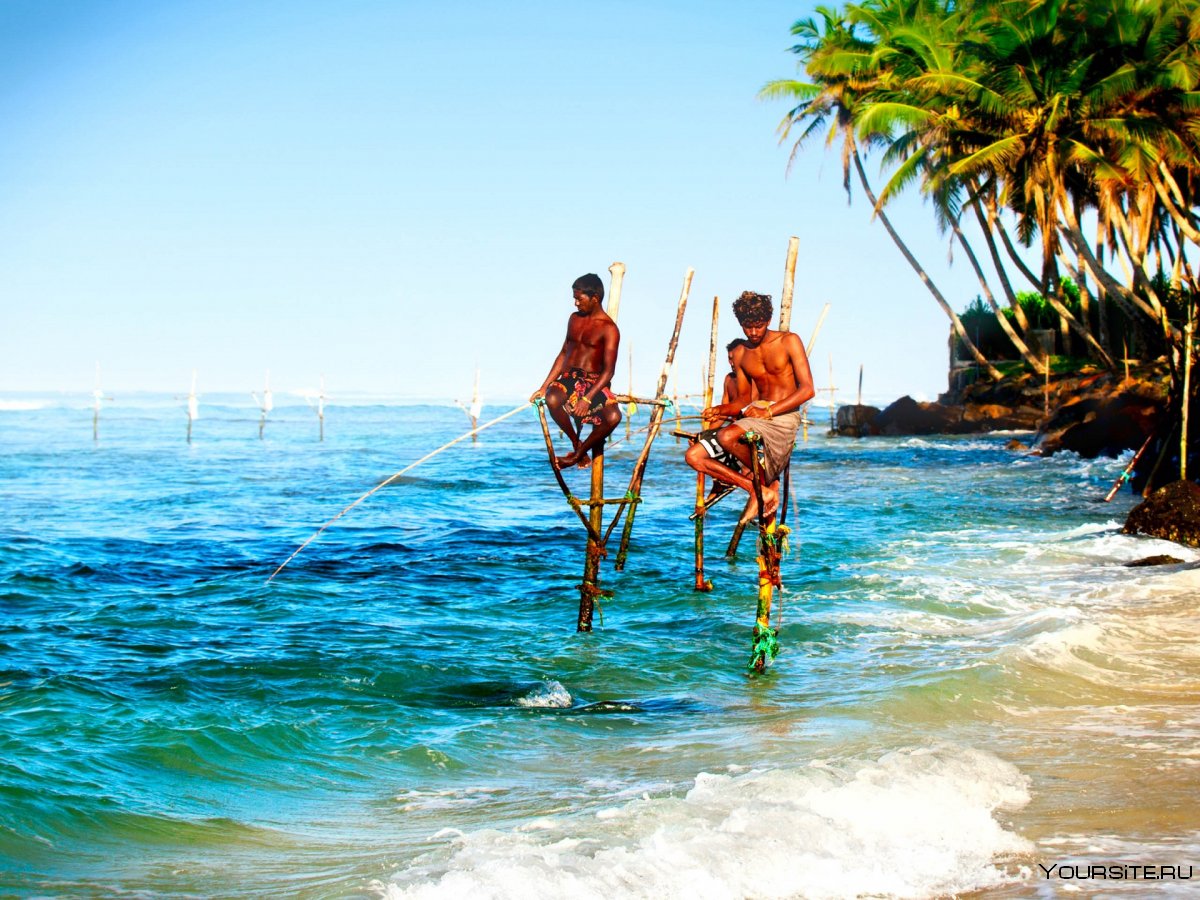 Шри Ланка рыбаки на шестах