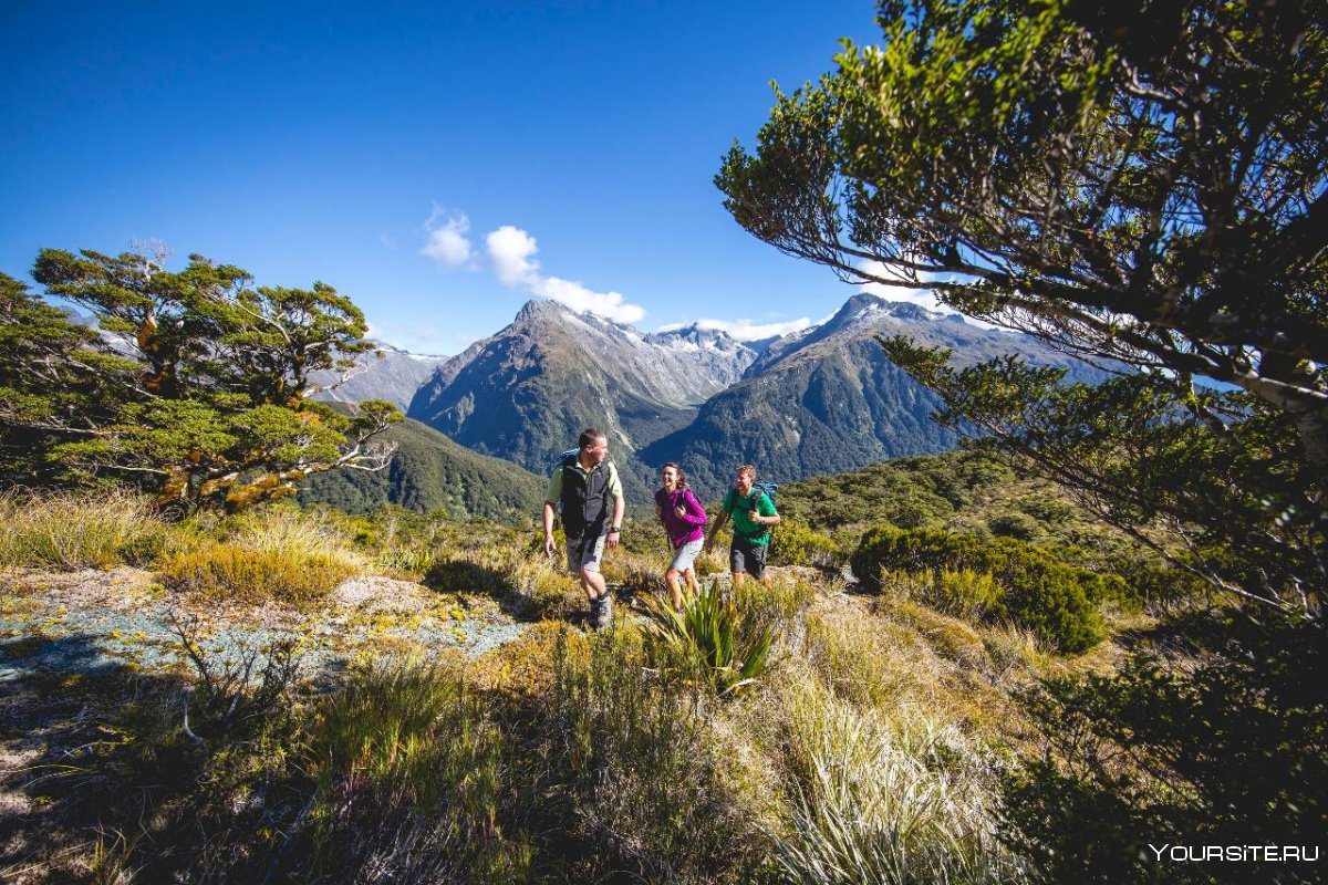 New Zealand Tourists spot