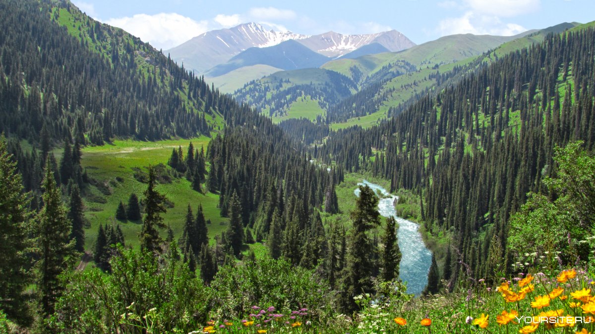 Восточно-Казахстанская область природа