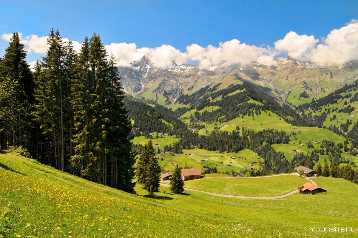 Альпы горные Луга Швейцария