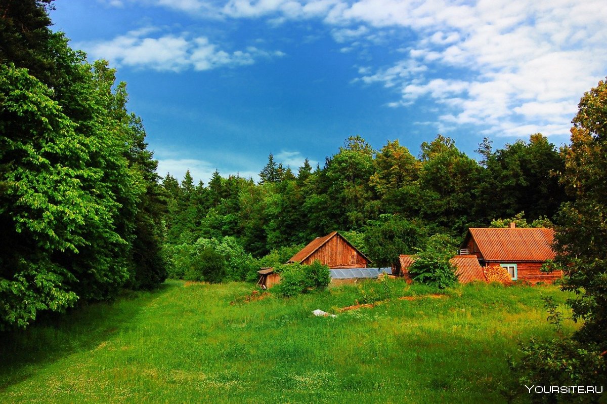 Деревни Литвы в лесу