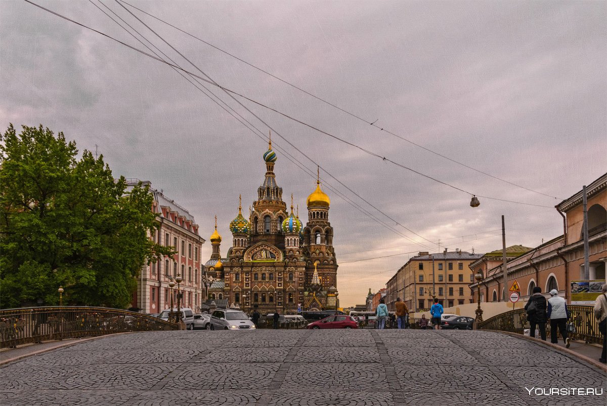 Осенний Петербург спас на крови
