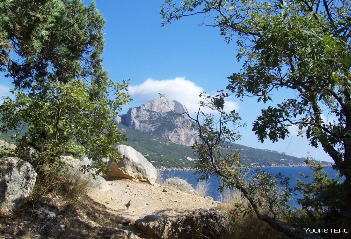 Кабардинка можжевельник