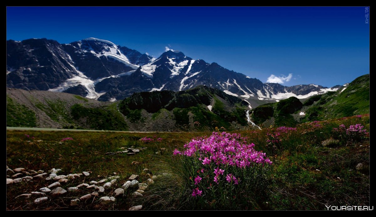 Альпийские Луга Приэльбрусья
