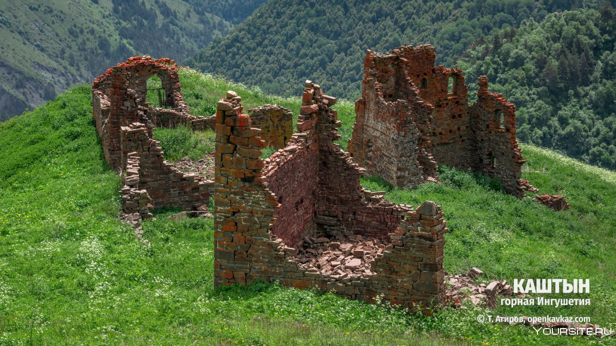 Северная Осетия Чечня Ингушетия