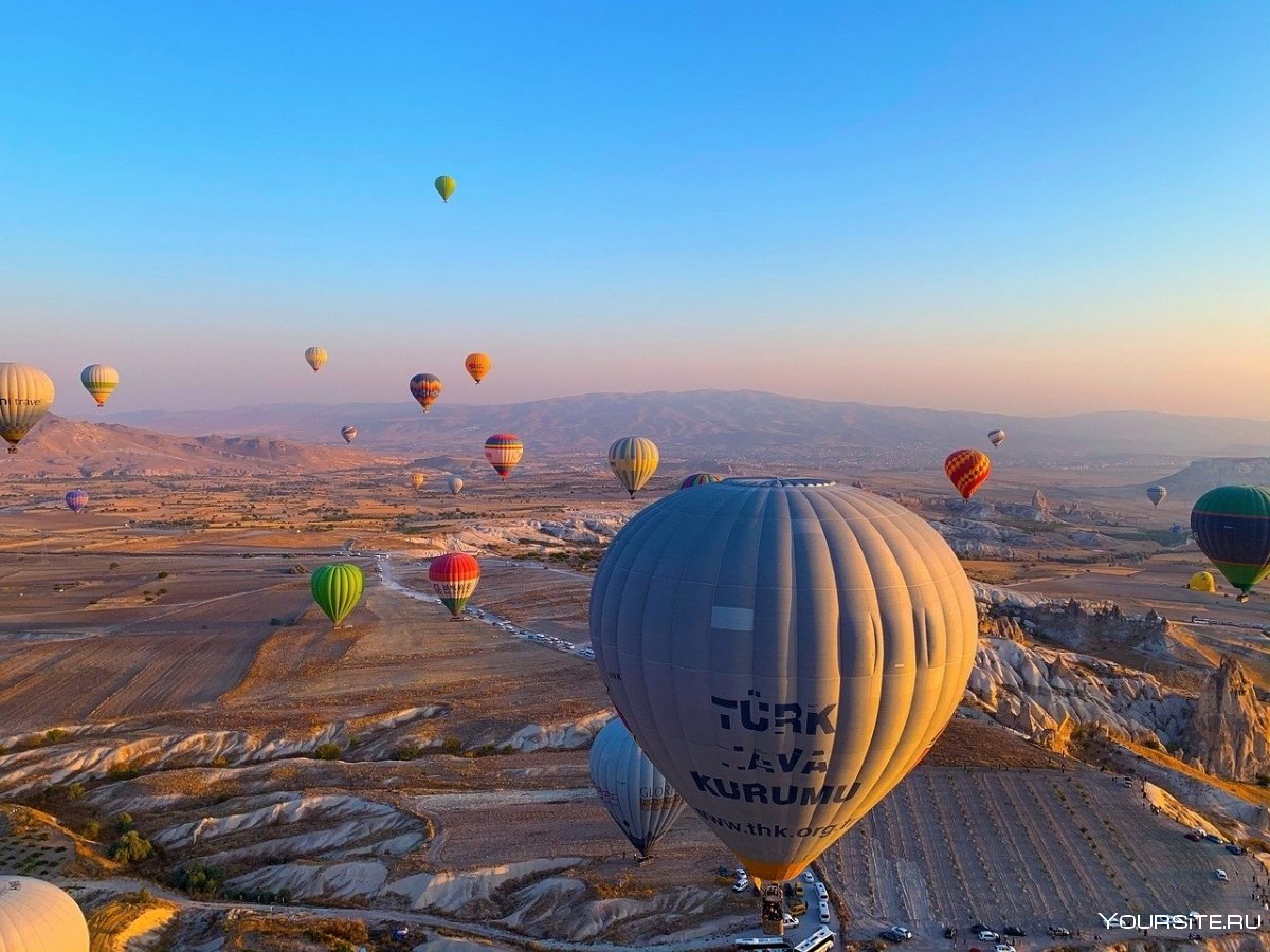 Воздушные шары над лесом