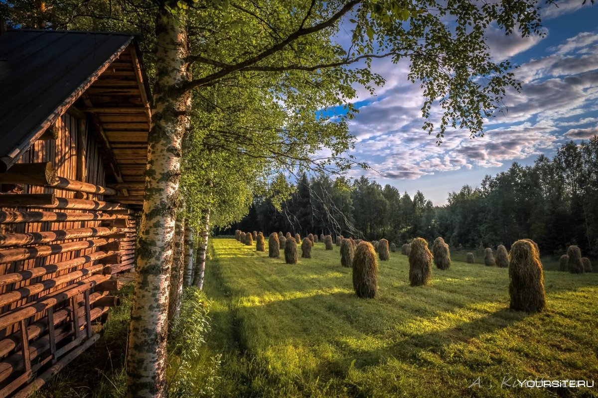 Пикник в горах