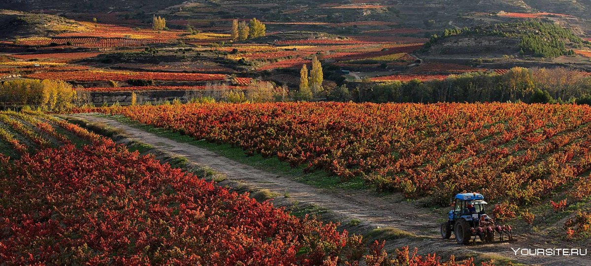 La Rioja Испания