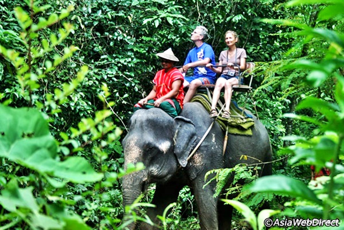 Парк слонов Тайланд као сок