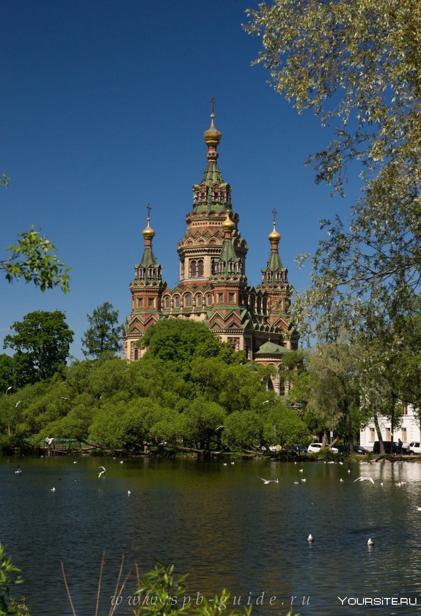 Петропавловский собор в Петродворце