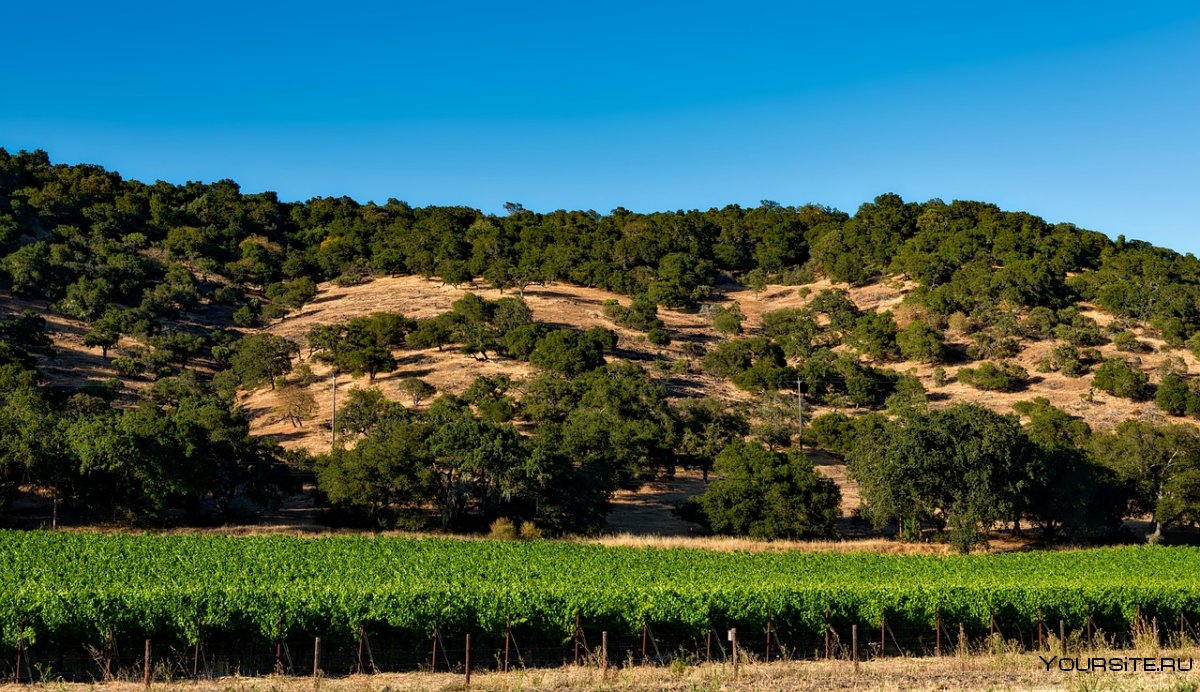 Napa Valley Калифорния