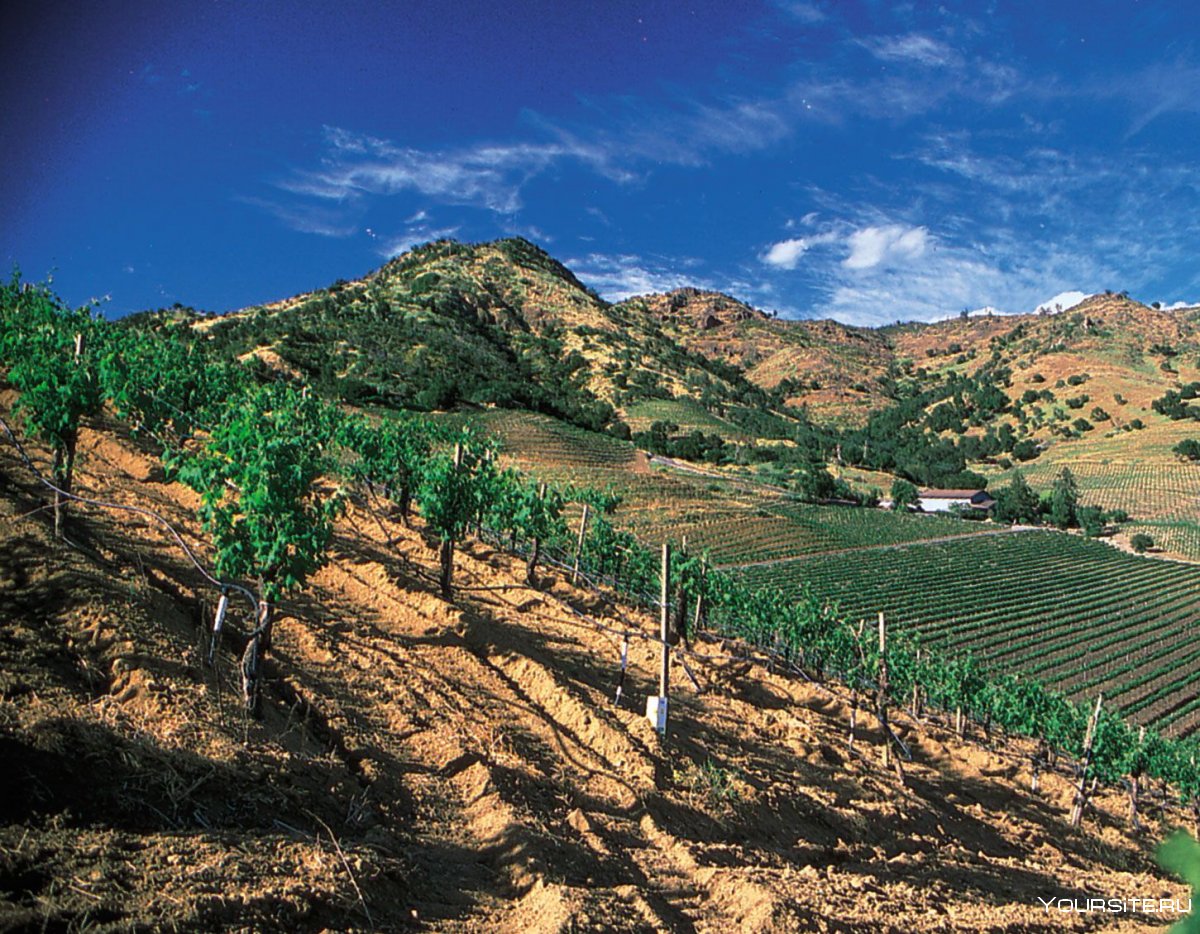 Напа (Napa), штат Калифорния