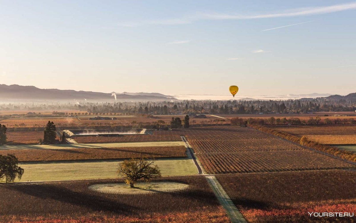 Долина Napa Valley