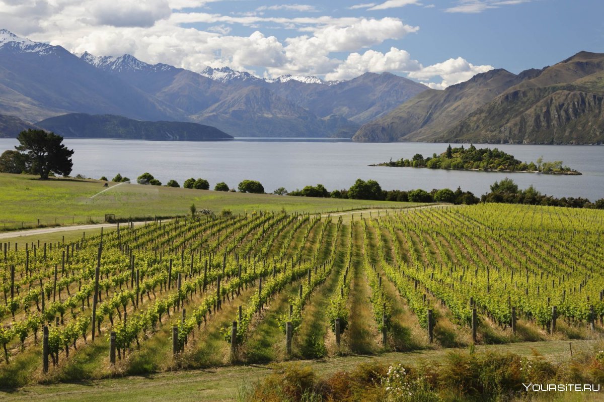 Мальборо винодельня новая Зеландия