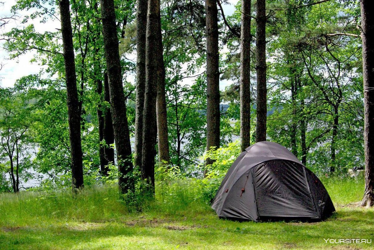 Селигер палатки палаточный лагерь