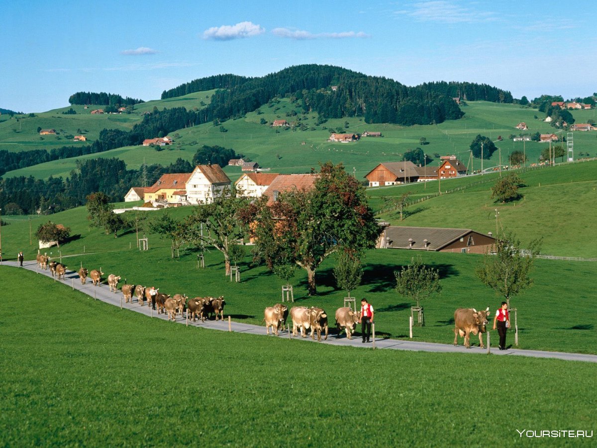 Деревня Швейцария в Литве