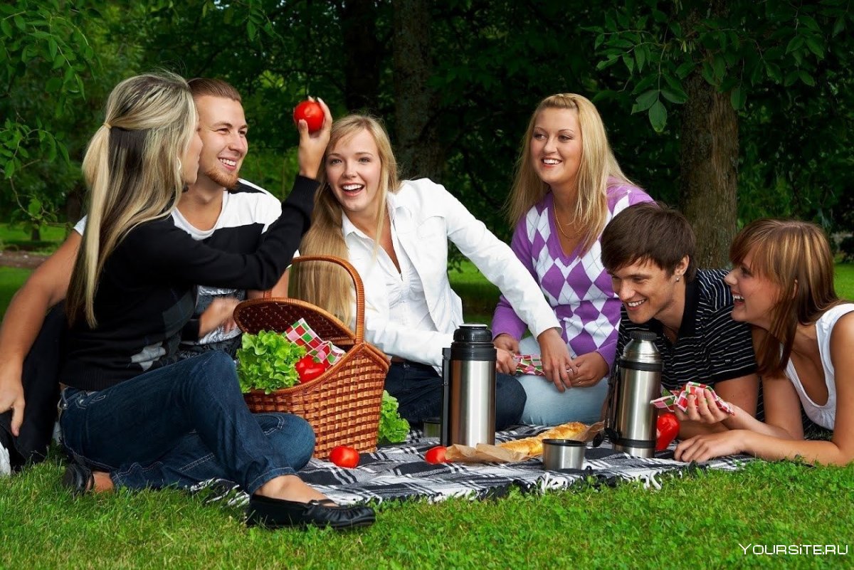 Пикник с друзьями