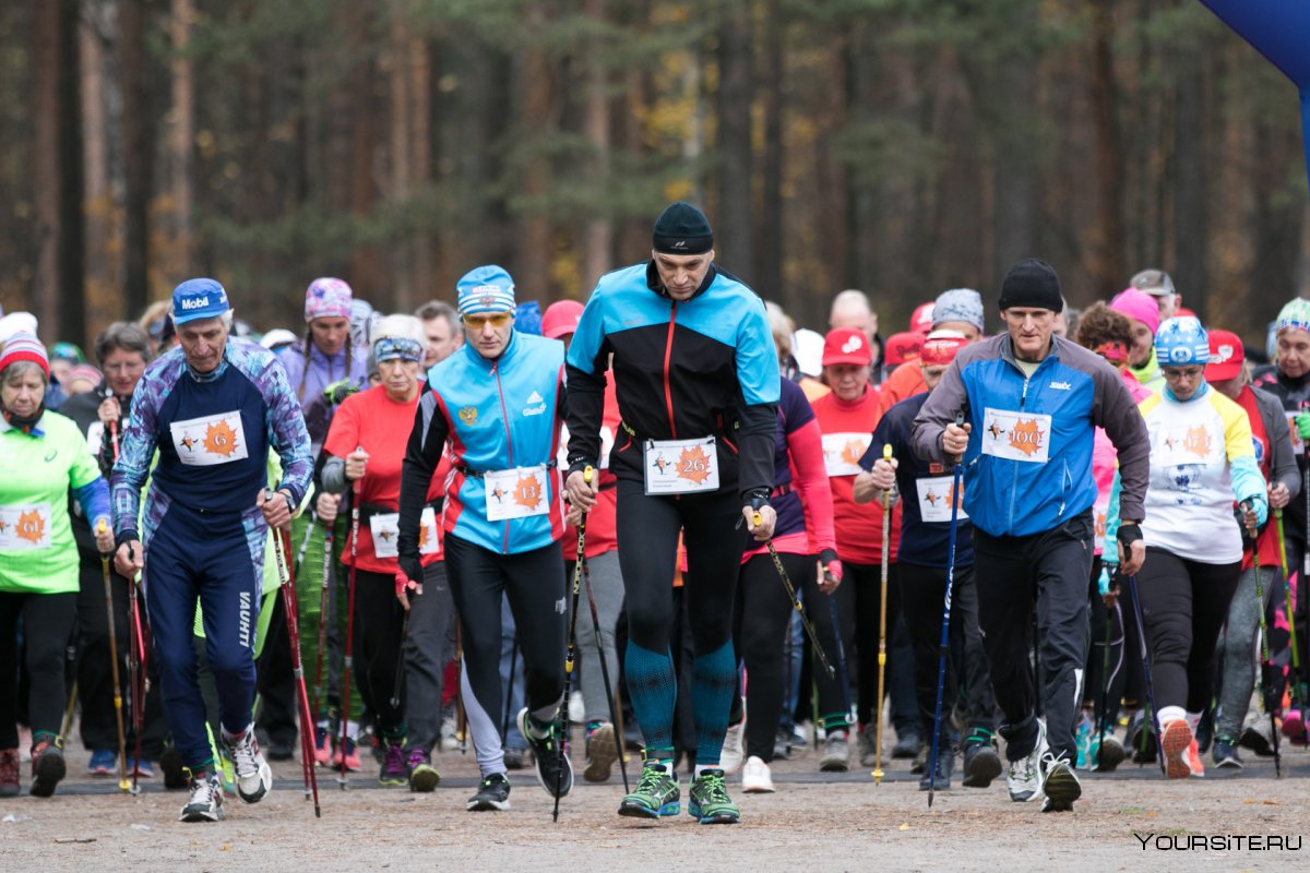 Скандинавская ходьба спорт соревнование