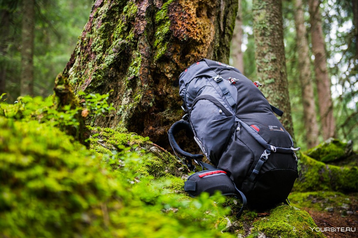 Походный рюкзак в лесу
