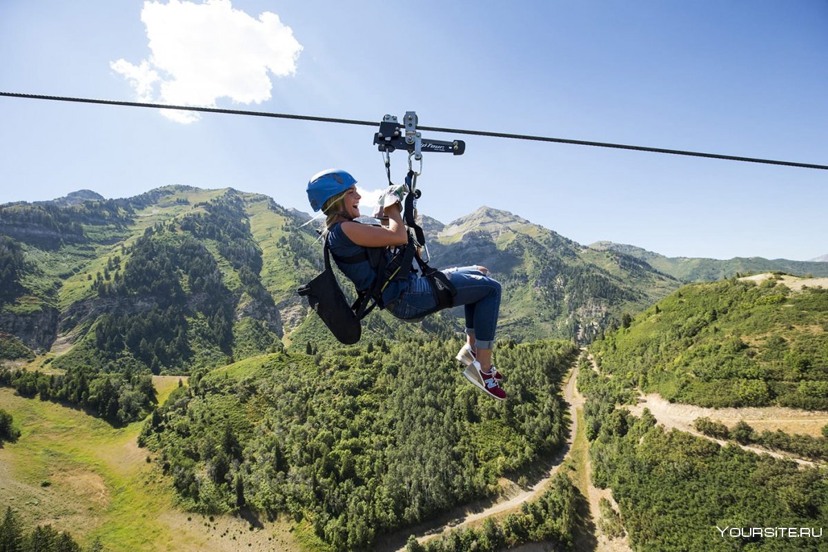 Троллей Zipline