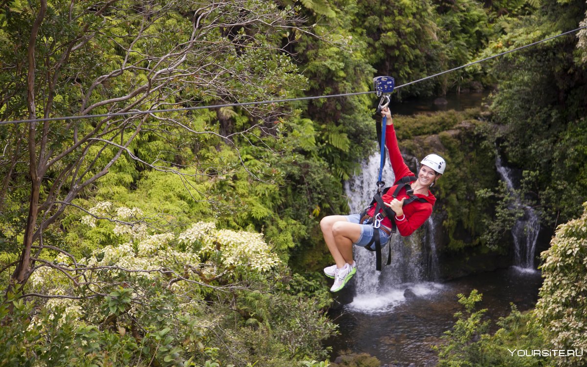 Натяжка Zipline