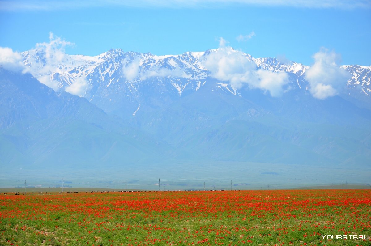 Киргизия поход
