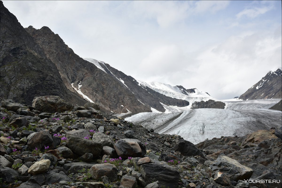 Ледники Актру альпинисты